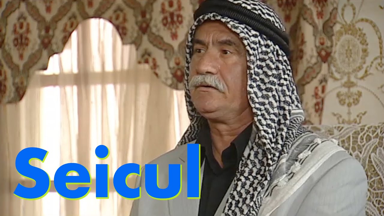Seicul --- Viziru in serialul REGINA