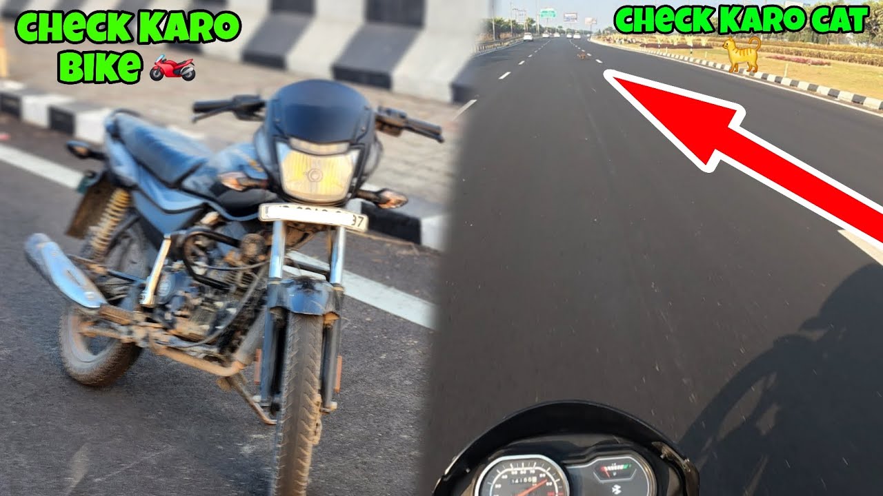 High Speed on Cat Road 😱 Cat Crash… What Really Happened? Day 15 
