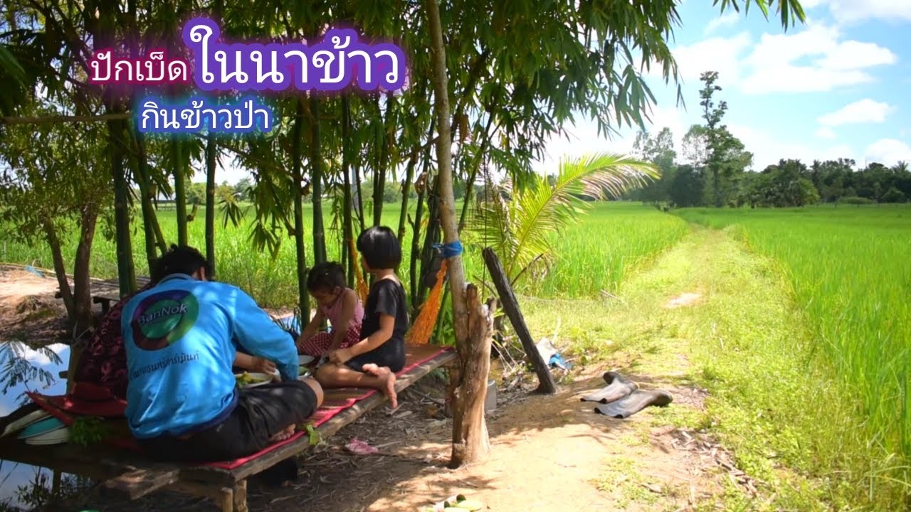 ปักเบ็ด กินข้าวข้างทุ่งนา หมายใหม่ติดหนองทุ่งใหญ่ / บ้านนอก EP.391