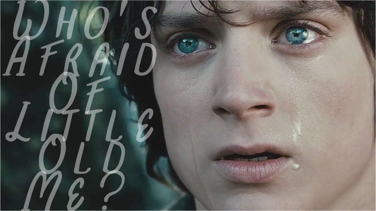 Frodo Baggins | Who's Afraid Of Little Old Me?