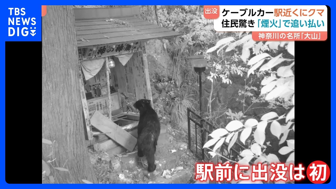 神奈川の名所・大山　まさか&hellip;ケーブルカー駅近くにクマ「出没は初めて」　伊勢原市は煙火で追い払い対策｜TBS&nbsp;NEWS&nbsp;DIG