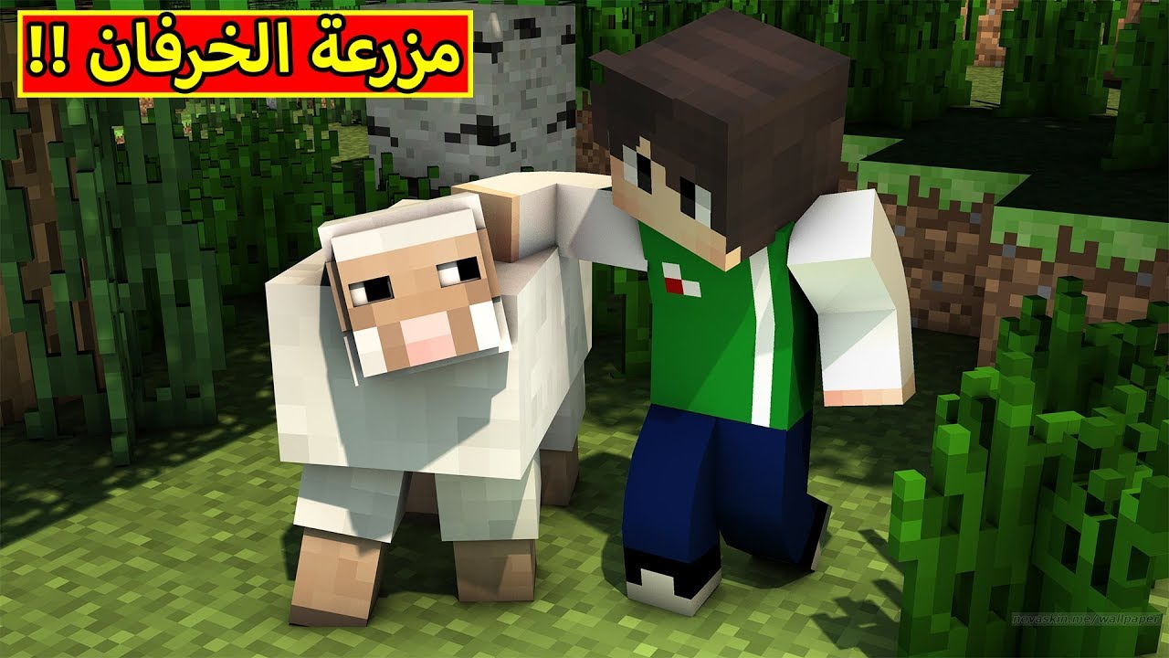 ماين كرافت : مزرعة الخرفان | minecraft !! 🐏🔥
