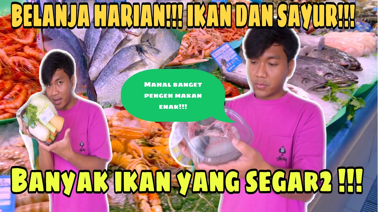 BELANJA HARIAN DAN KEBUTUHAN SEHARI2 DI PASAR EROPA!!! BIAYA KEBUTUHAN SEHARI2 DI EROPA !!!