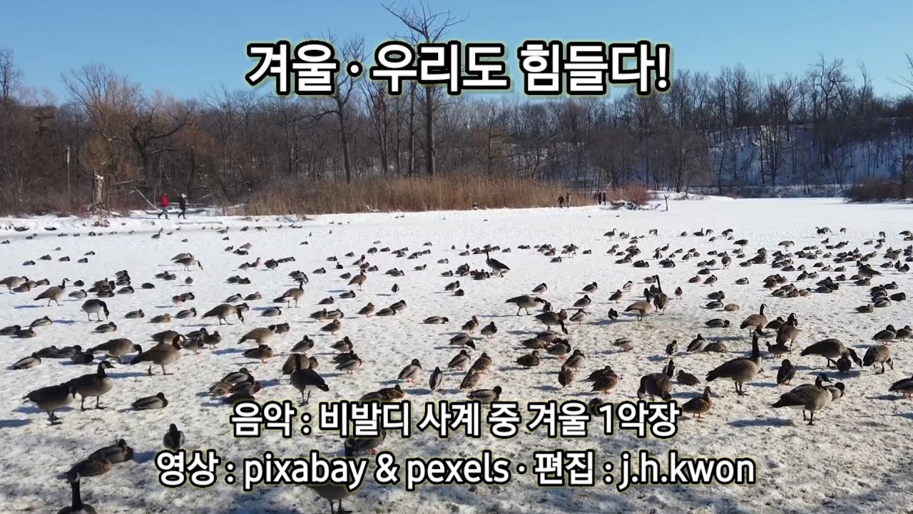 겨울 · 우리도 힘들다!
