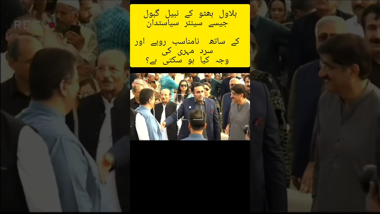 بلاول بھٹو کے نبیل گبول جیسے سینئر سیاستدان کے ساتھ  نامناسب رویے اور کی وجہ کیا ہو سکتی ہے؟
