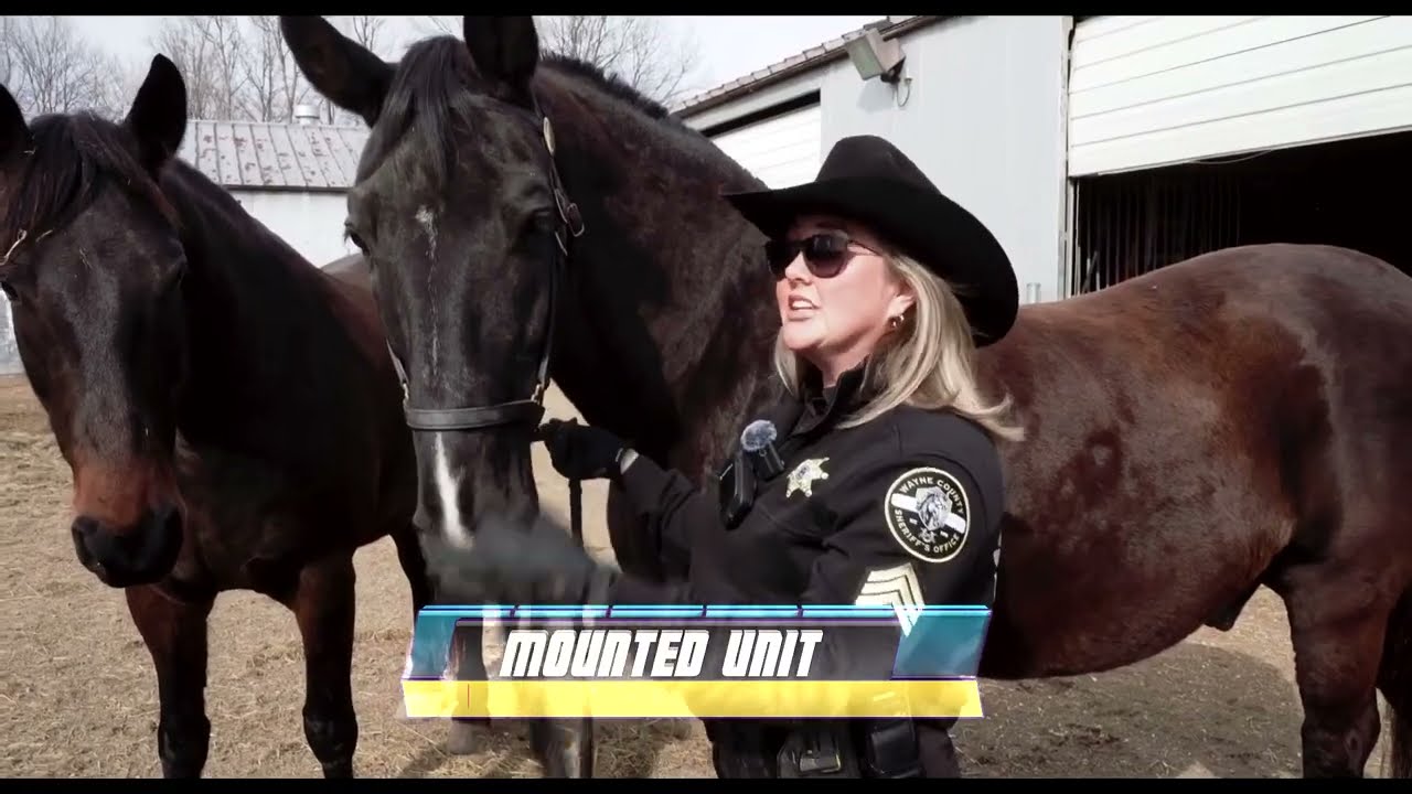 Join The Wayne County Sheriff's Office