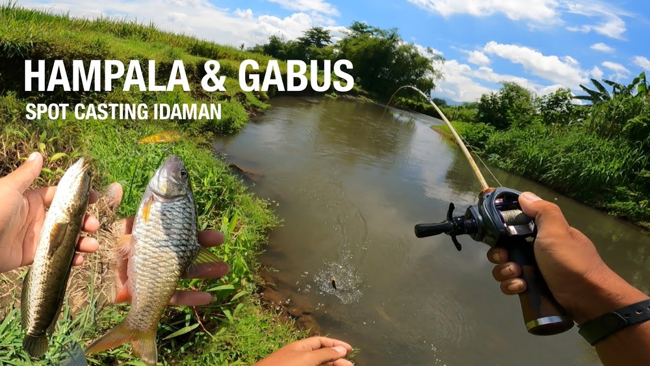 PADAHAL SATU ALIRAN SUNGAI‼️TAPI ADA IKAN GABUS DAN HAMPALA !! CASTING JADI MENYENANGKAN