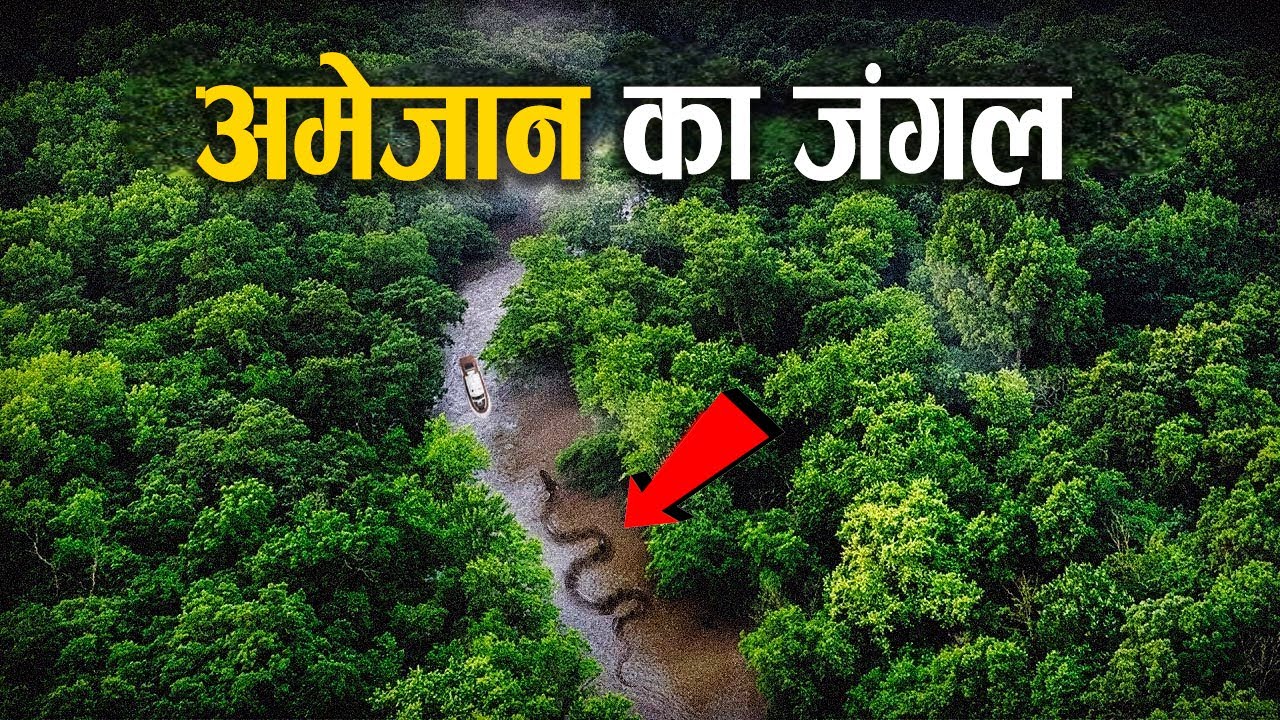 अमेजन जंगल के इन रहस्यों को देख साइंटिस्ट्स भी हुए हैरान | Amazon Rainforest