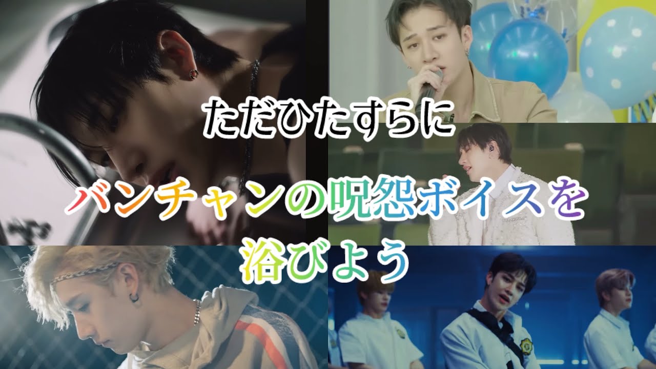 【stray kids】ただひたすらにバンチャンの呪怨ボイスを浴びる動画