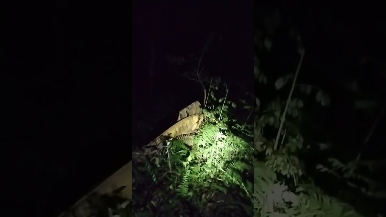 NYATA, PENEKUN LEAK MUNCUL BERMUKA HANCUR