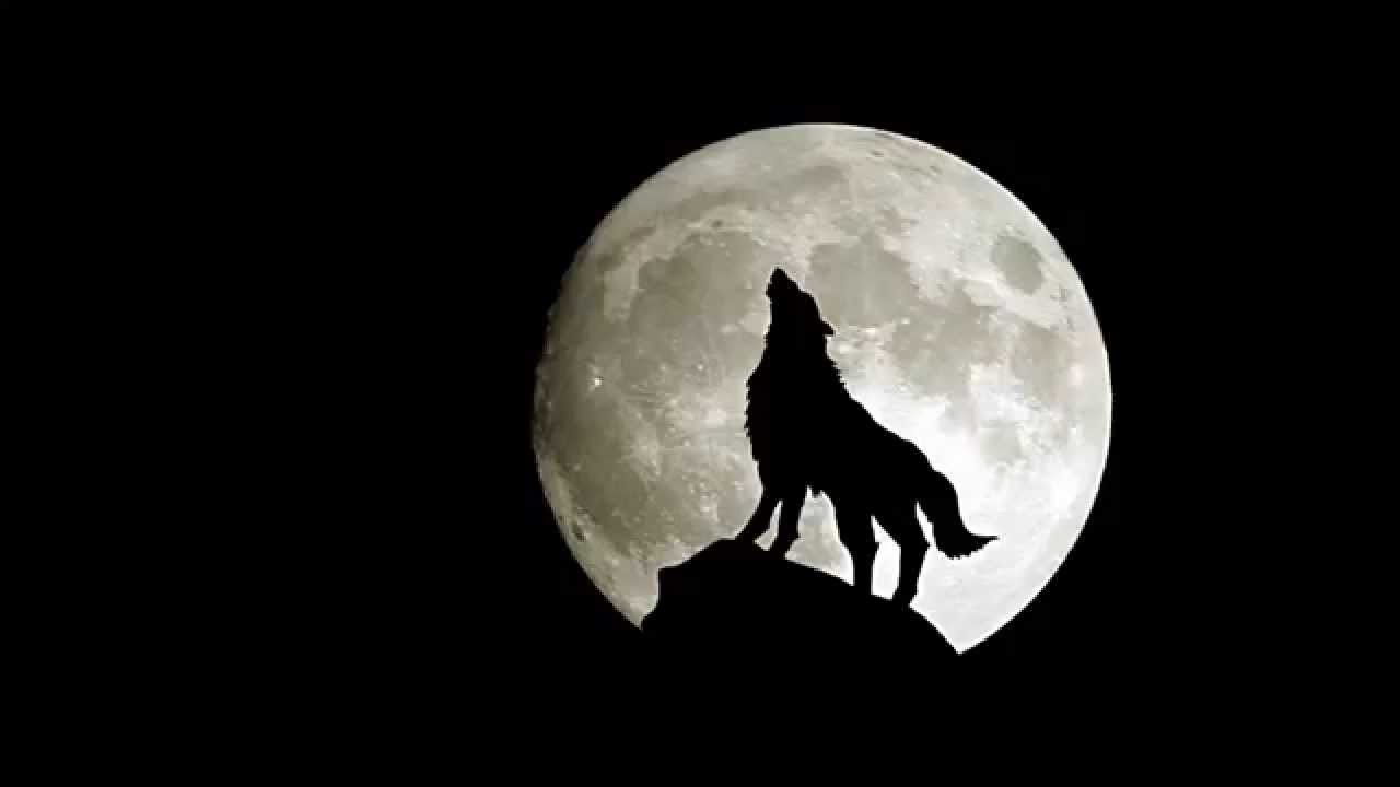 Noe Spesielt Feat. Sanna  - Wolf (Deeperise remix)