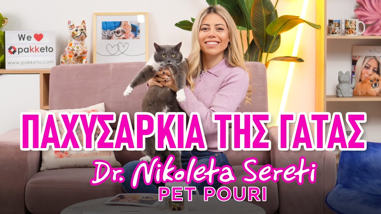 Dr. Nikoleta Sereti - Όσα δεν ήξερες για την παχυσαρκία της γάτας!