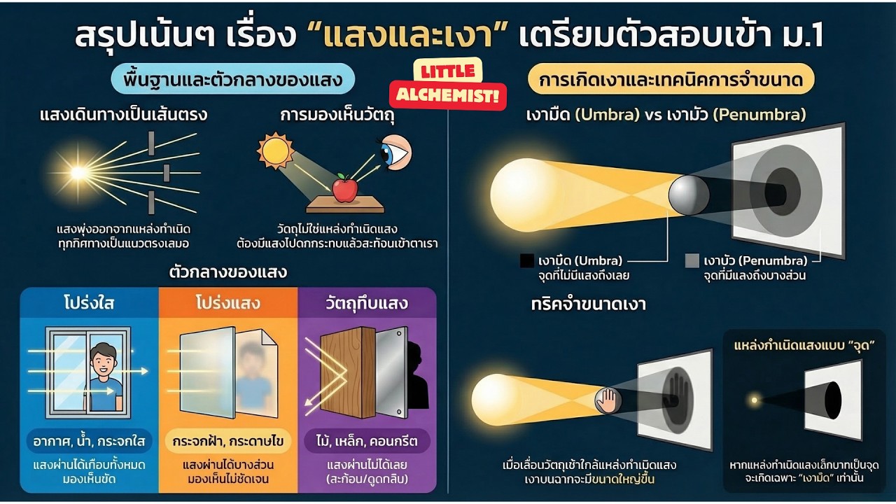 สรุปแสงและการมองเห็น | ติววิทย์เด็กประถม เข้าใจง่ายก่อนสอบ