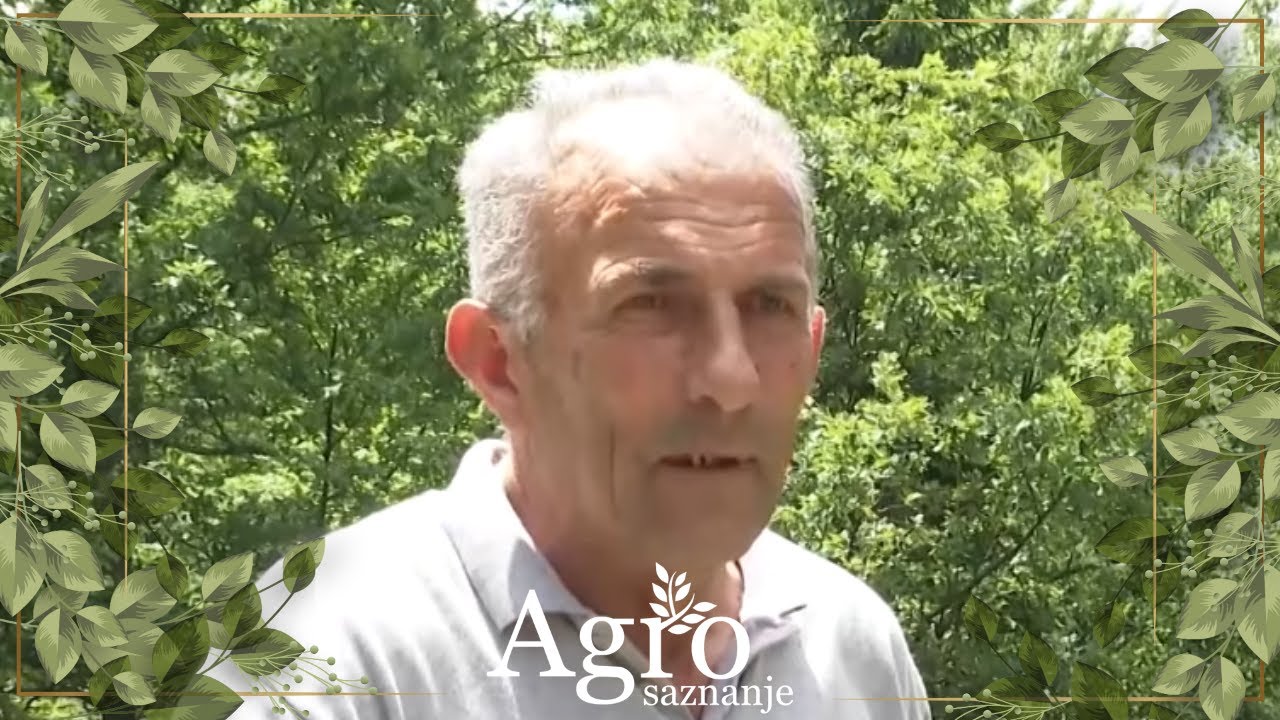 AGROSAZNANJE - Agro priče sa Lukavice, Sukuruća, Kaludre, Bara i Peštera