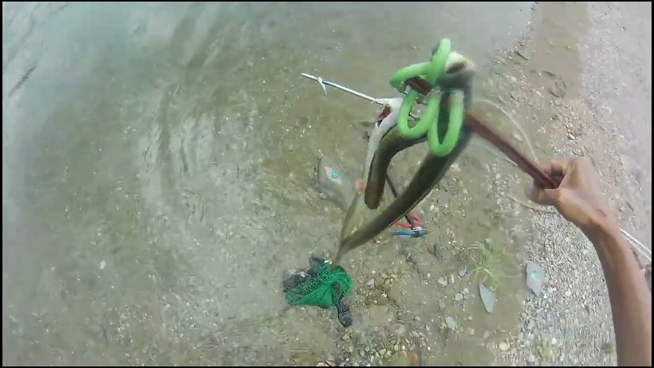 Nachambahan ko dalawang igat sa isang butas.@kailogan tv