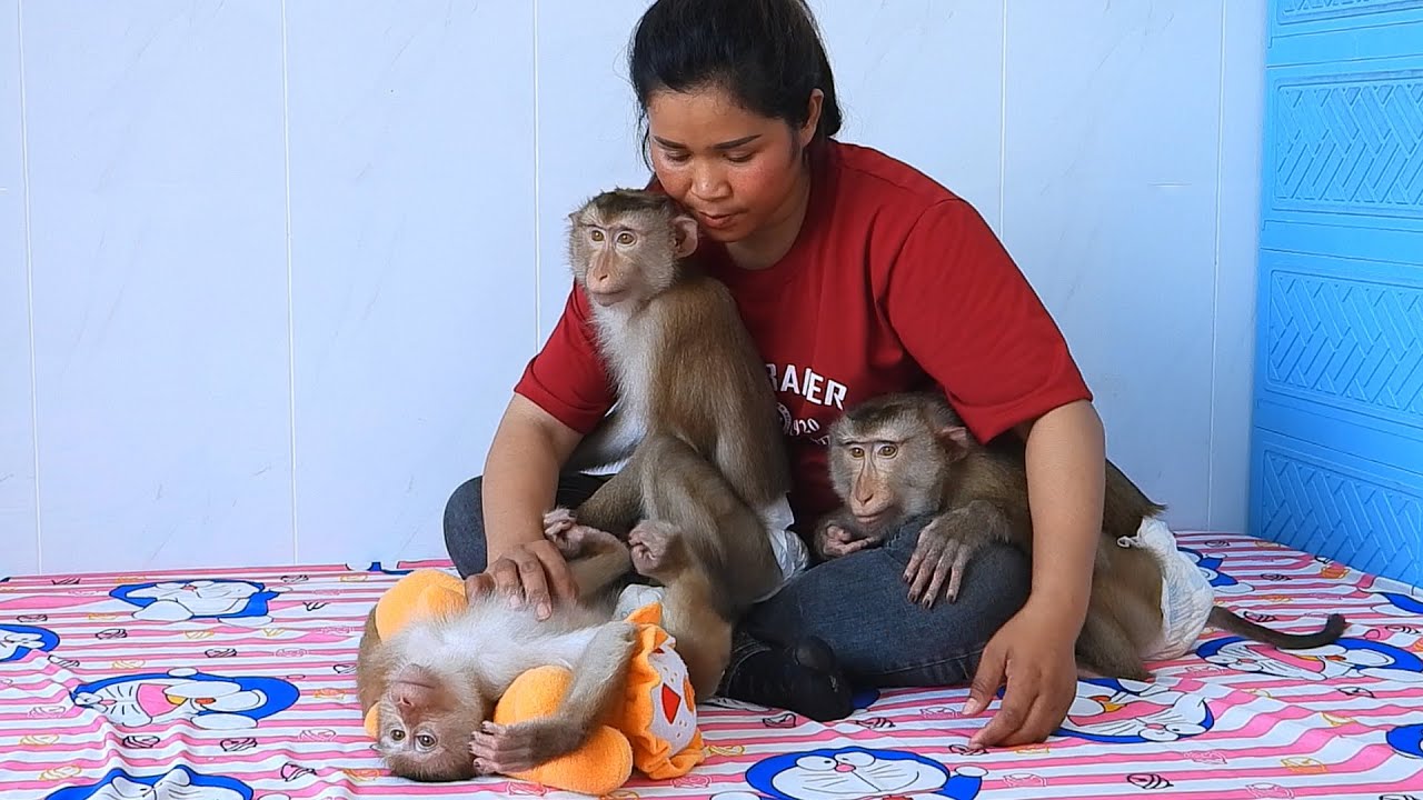 Our Little Kako Family Take A Nap Midday Routine