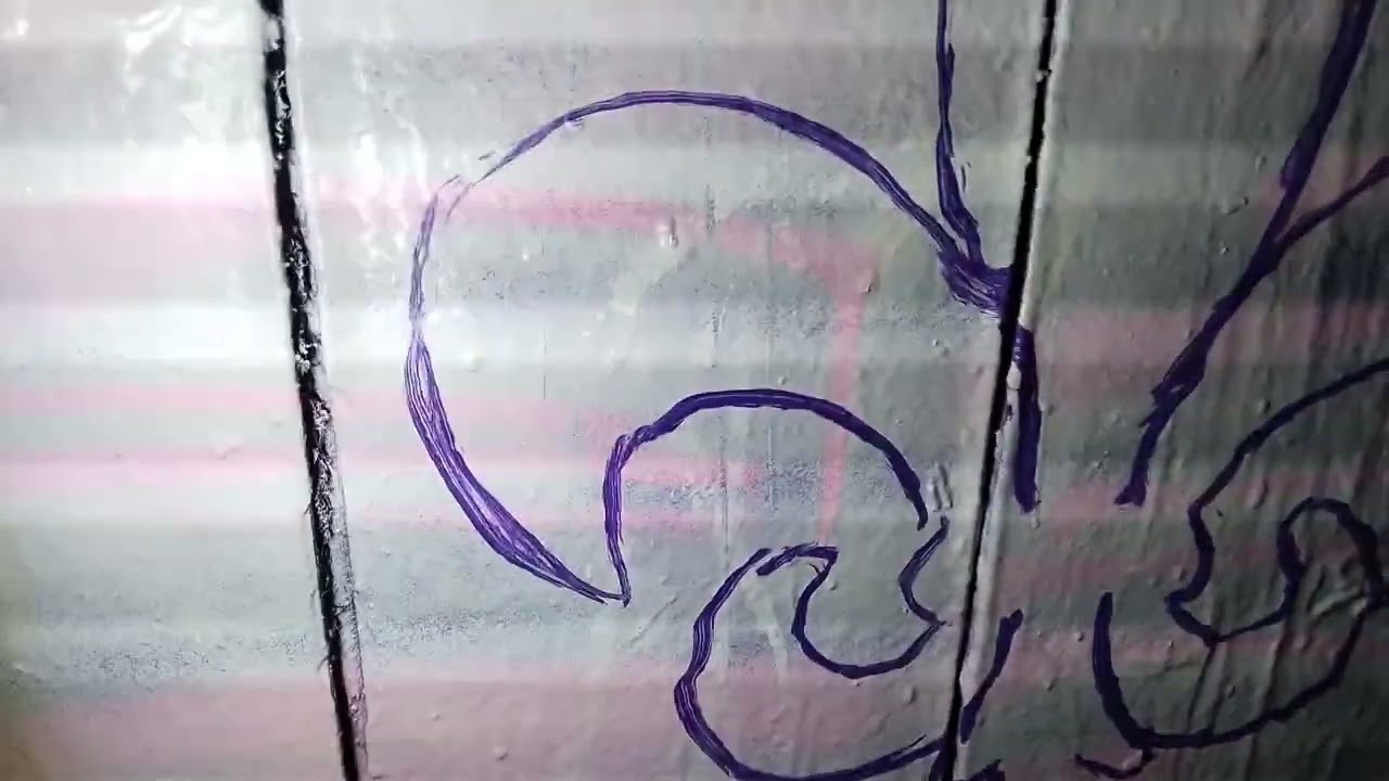Lilien Test an der Wand mit dem Beamer