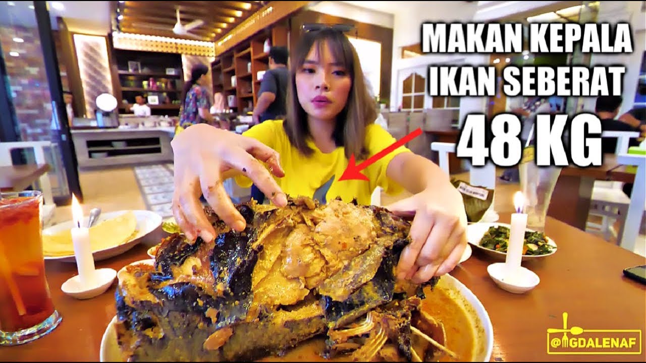BERATNYA SETARA ORANG DEWASA! IKAN TERBESAR YANG GW TEMUI DI INDONESIA ADA DI JAKARTA