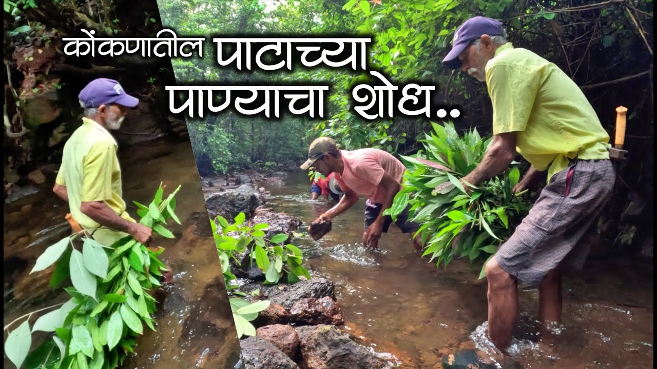 नानानी घेतला जंगलातील पाटाच्या पाण्याचा शोध | कोकणातील भातशेती #कोकण #भातलावणी #kokan #kokani #sheti