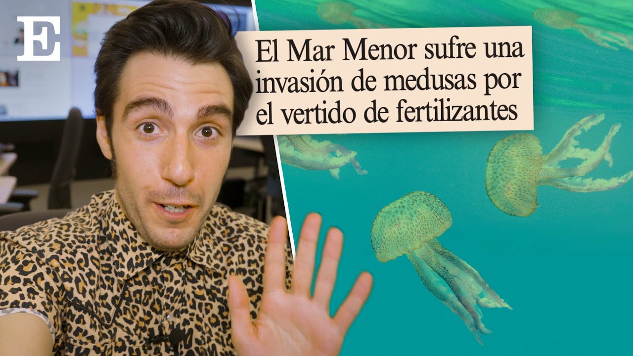 La contaminación del MAR MENOR: todo comenzó con una invasión de MEDUSAS| ECOiLÓGICO Cap 4 | EL PAÍS