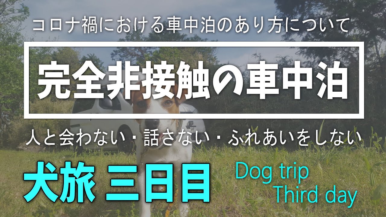 【ジャックラッセルテリアと犬旅】コロナ禍での完全非接触車中泊 三日目　二泊三日誰にも会わなかったよ。Staying in the car with a dog🐶 #NV200