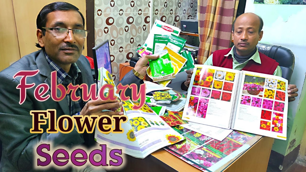 Summer Flower Seeds You can Grow in the Month of February.