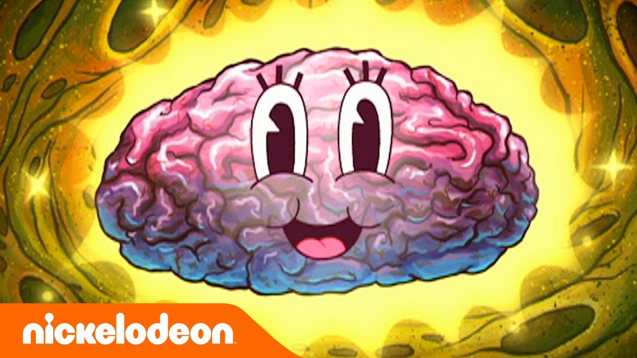 Bob Esponja | Uma Esponja Entalada | Nickelodeon em Português