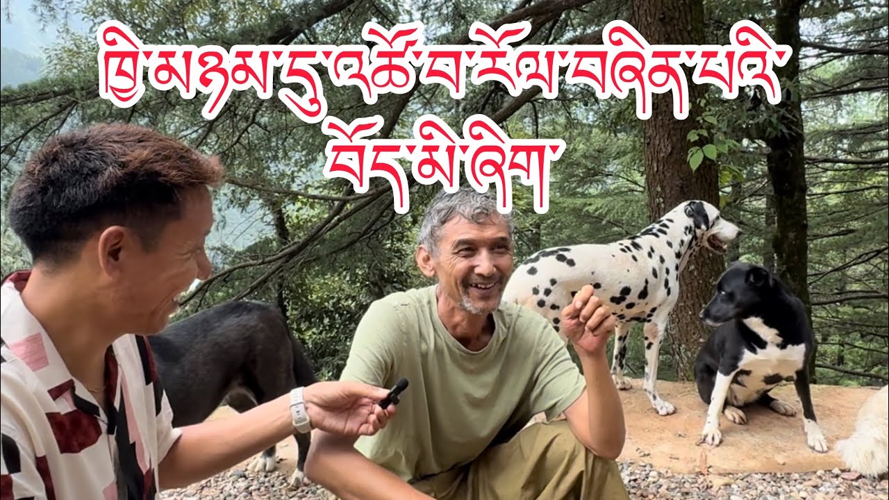 A Tibetan man living with Dogs for 9 years/ཁོས་ཟེར་ན:ཁྱི་དང་མི་གཉིས་ལས་ཁྱི་གདམ་ཟེར རྒྱུ་མཚན་ནི་??