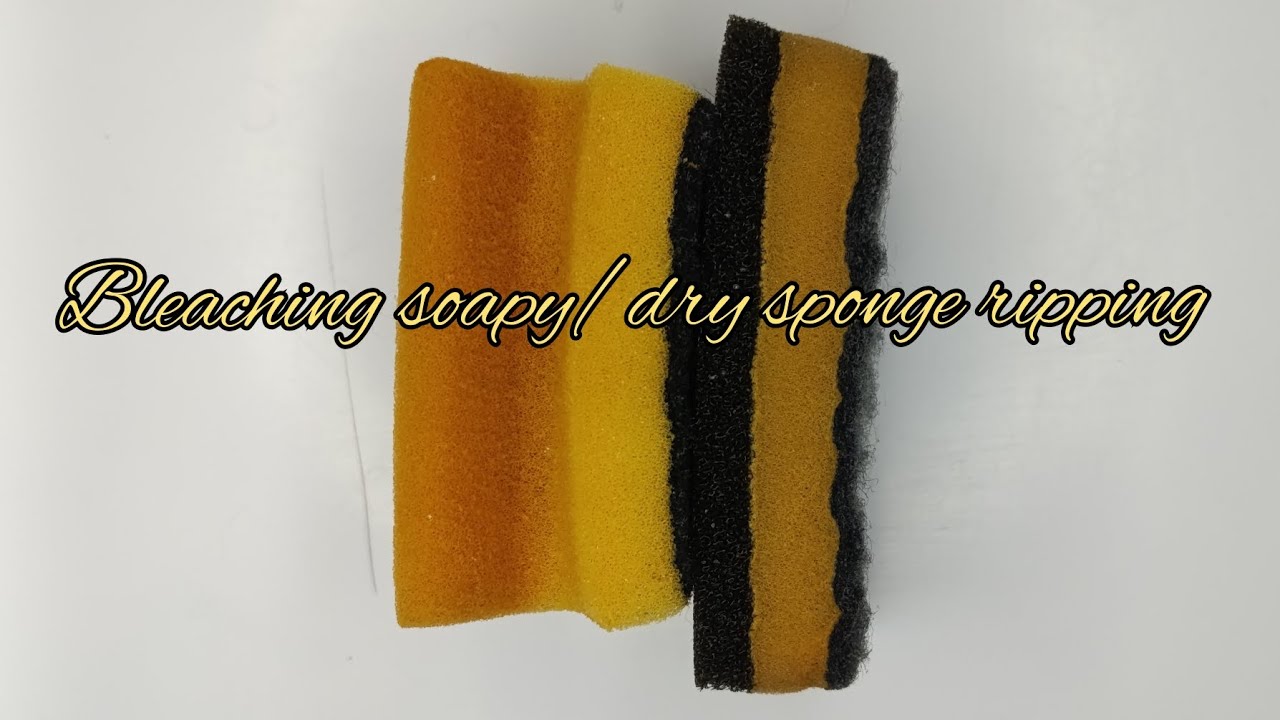 ASMR•Bleaching soapy/ dry sponge ripping •💛🖤#asmr #spongeasmr #spongeripping #asmrvideo #bleaching