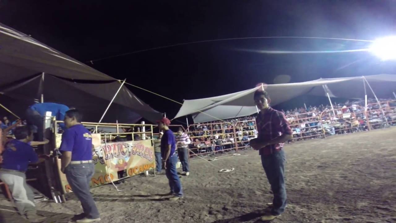 Latidos de un jinete chacal de tlalmanalco
