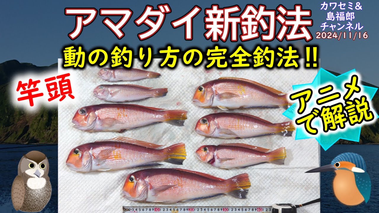 《アニメで解説：【アマダイ】新釣法を解説》底トントンの釣り方の改良版の【釣り方】を紹介。この釣り方を使い【甘鯛釣り】で竿頭になっていますので十分効果があります。