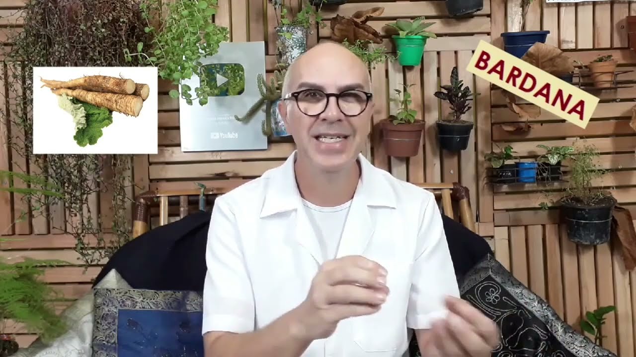 BARDANA, outra PANC, ação ESTROGÊNICA, trata GOTA, HEPATITE e CIRROSE, restaurador da COR DA PELE.