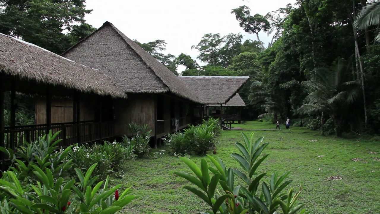 Introduction to Refugio Amazonas and Tambopata Research Centre