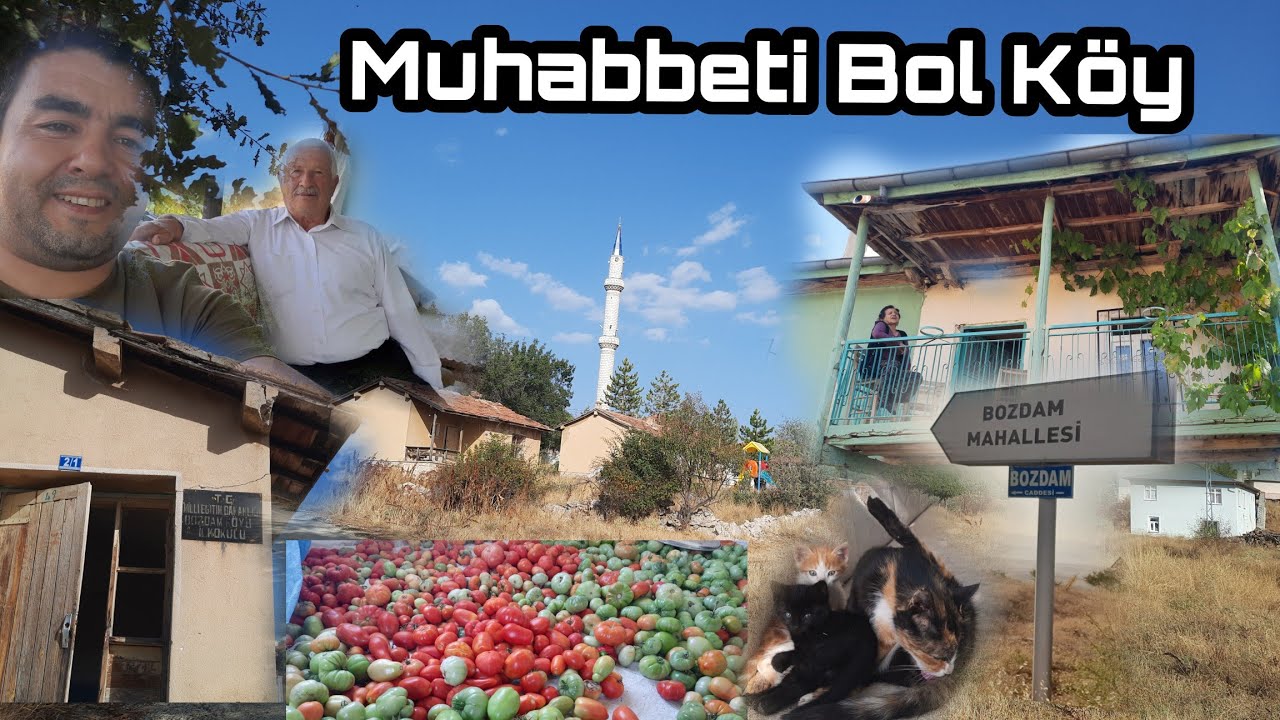 Маленькая деревня Боздам с множеством разговоров и разрушенными деревенскими школами.