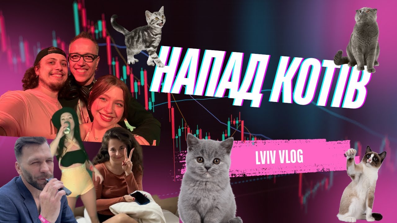 ВЛОГ | ЛЬВІВ | НА НАС НАПАЛИ КОТИ???