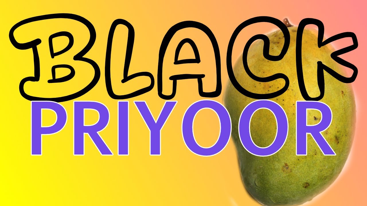 Part-1 Black priyoor Mango | Joy Pallithanam | MS Kottayil | Best mango verity