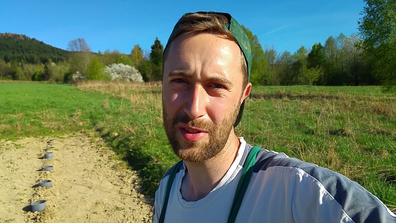 Dlaczego wolę krzewy borówek z nasion. Błagam powiedzcie, że rozumiecie :D