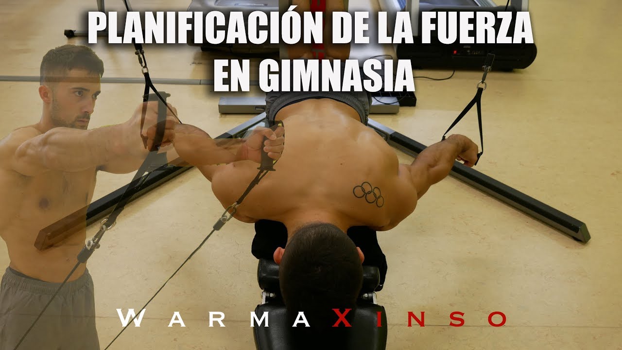 Planificación de la preparación física en gimnasia - WX