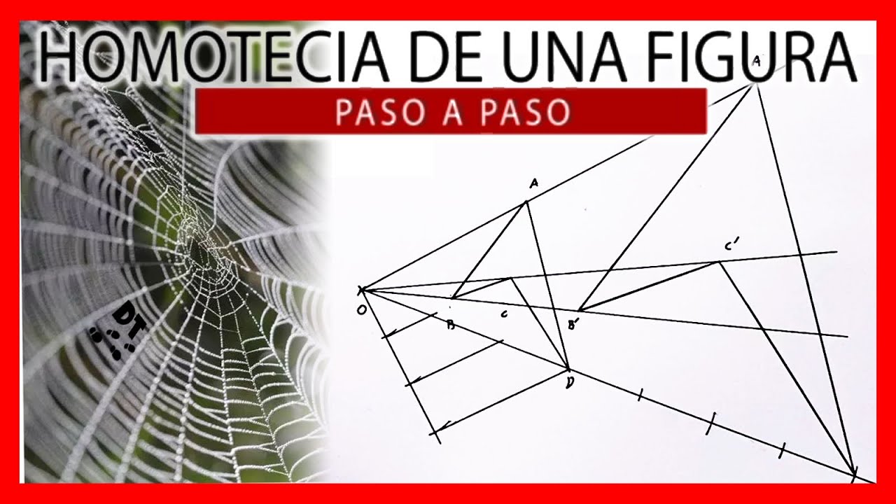 🧠✅ Como hacer una HOMOTECIA en dibujo técnico | Homotecia directa, inversa, negativa...TODAS