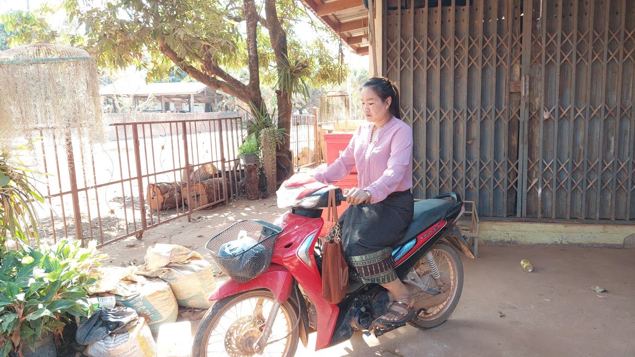 ป้าเม้า