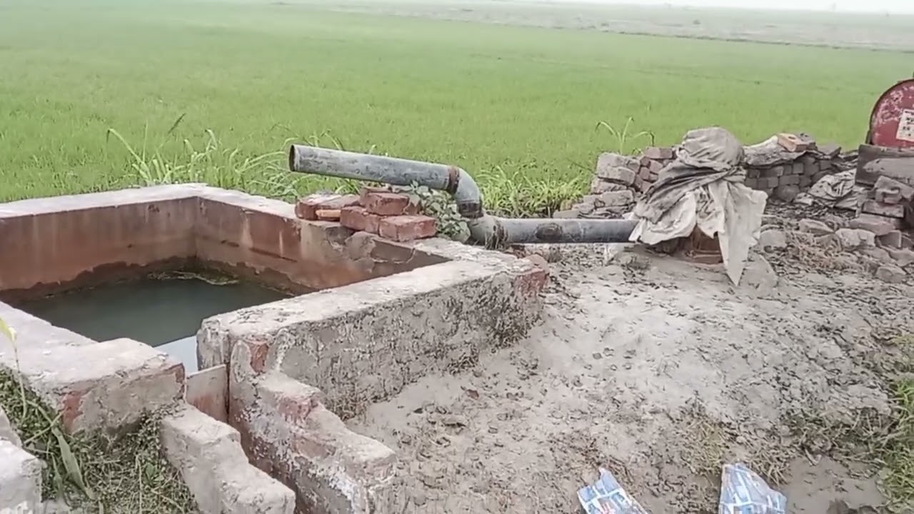 How To Visiting My Green Fields Of Panjab Village |Rural Life ,Beautiful Village Vlog In Winter Fogg