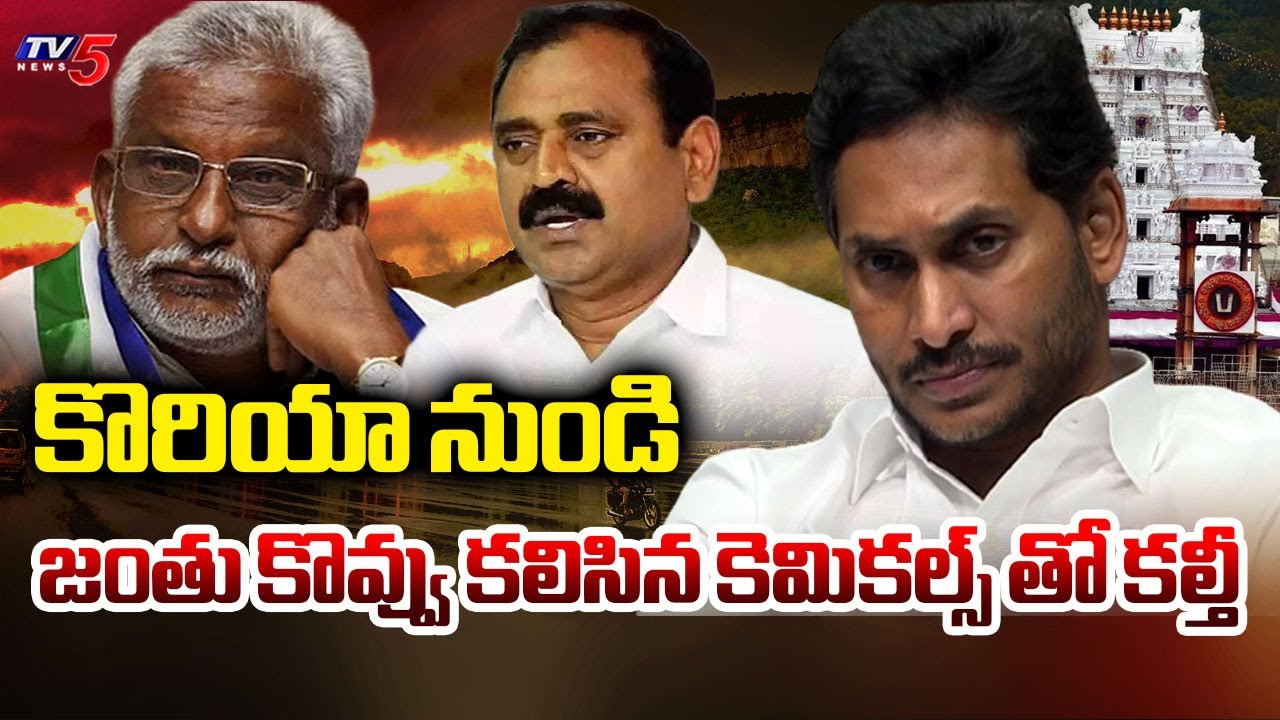 అంతా తెలిసే చేశారు! | TTD Ghee Issue | YV Subba Reddy | YS Jagan || TV5 News