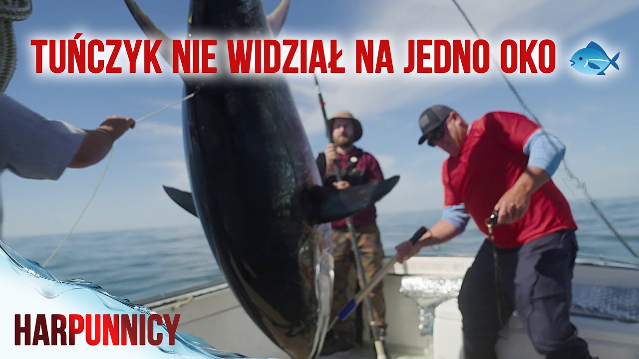 TEN TUŃCZYK BYŁ ŁAKOMYM KĄSKIEM❗NIE WIDZIAŁ NA JEDNO OKO 👀 | Harpunnicy