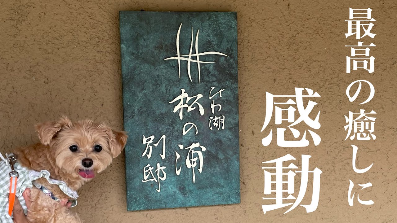 【びわ湖・松の裏別邸】犬も大満足の今年一年最高の旅(滋賀県/大津市)