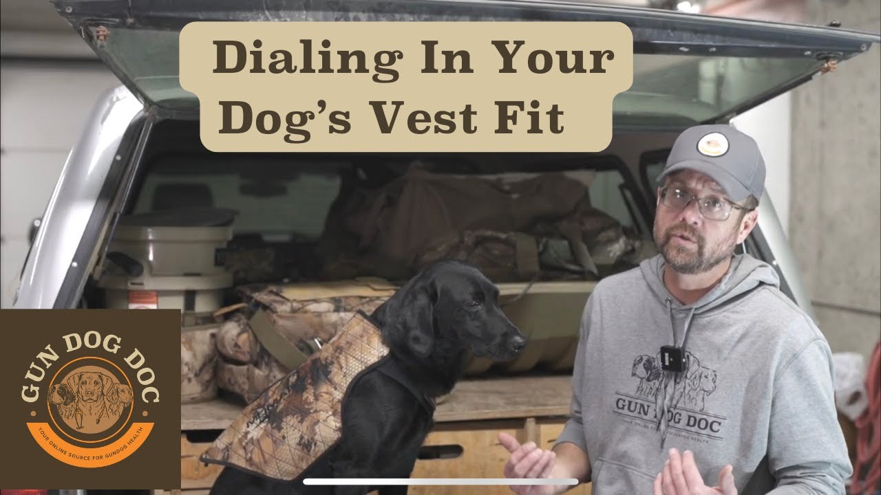 Dialing In Your Dog's Vest Fit