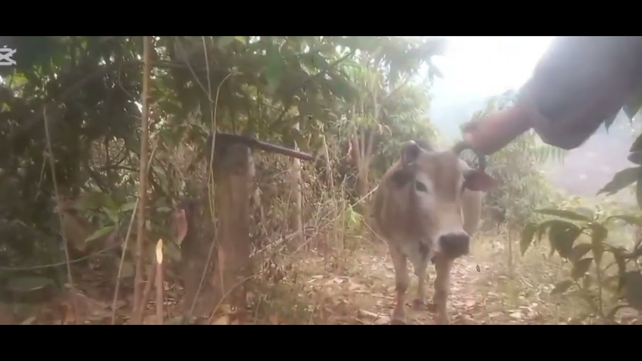 toj ep2