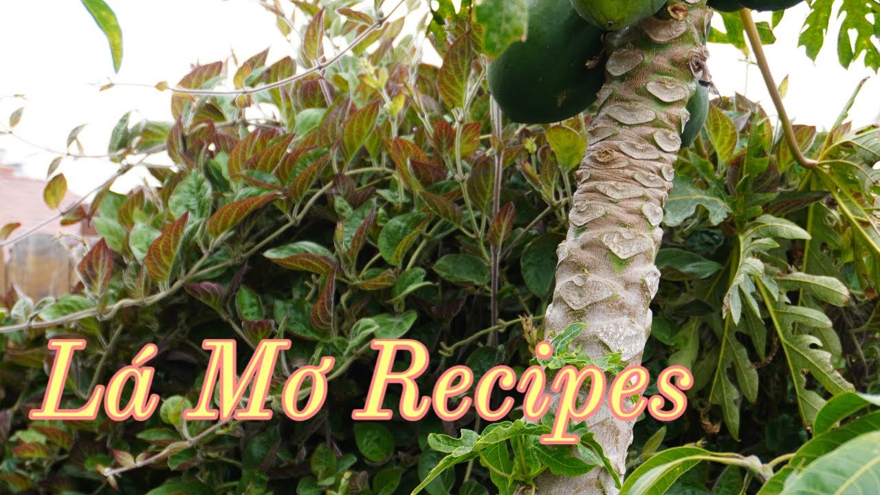 L&aacute; Mơ C&ocirc;ng Thức- Skunk Vine Recipes
