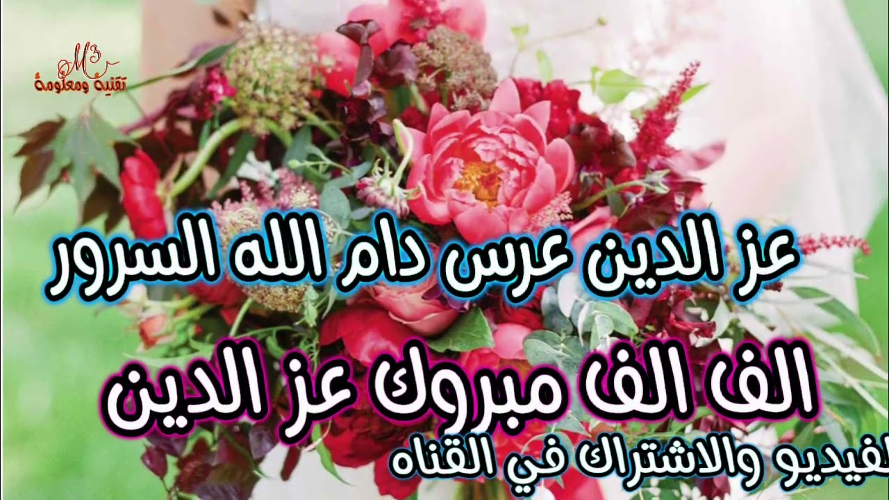 عز الدين عرس دام الله السرور غناء الفنان يحي العمري