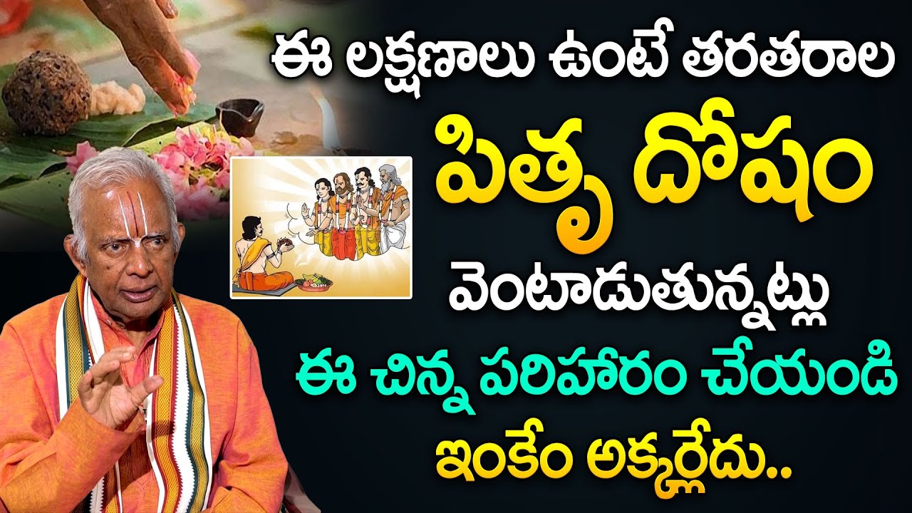 TKV Raghavan - Pitru Dosham Remedies | తరతరాల పితృ దోషం ఈ చిన్న పరిహారం చేయండి తొలిగిపోతుంది