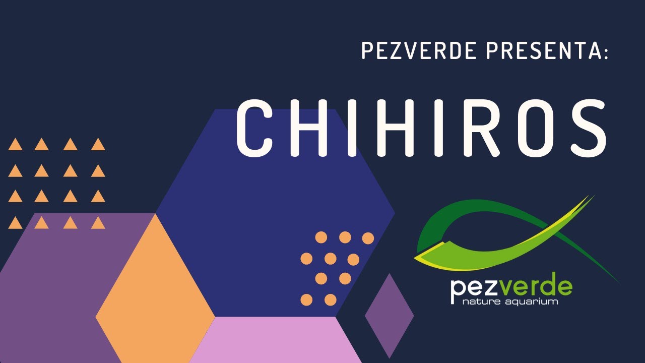 Presentación Productos Chihiros - PezVerde - WRGB - Vivid - CII RGB - Pipas - Garden Mat - TDS